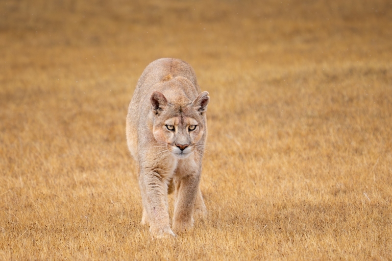 A1_6505-Enhanced-NR-Edit