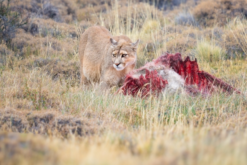 A1_7092-Enhanced-NR-Edit