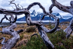 Patagonia-Untitled_HDR2-4