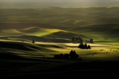 Palouse-_XT25810-Edit-2