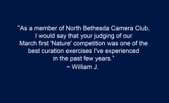 William-J.-testimonial