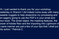 Patricia-C-Workshop-Testimonial