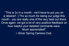 Silver-spring-CC-Judging