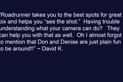 David K Testimonial