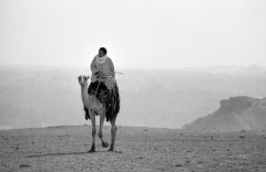 23943167093_9db83be726_o