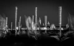 48867054637_536a8115c5_o