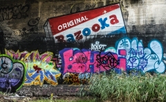 _DSF0197
