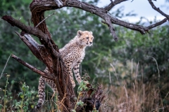 51246722241_e819a53295_o