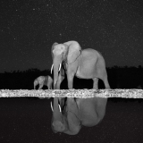 51249698223_62f4df6069_o