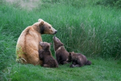 53100744928_73850edd59_o