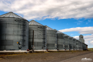 _DSC7572Palouse